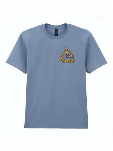 pes of boards representing the different skateboarding styles.